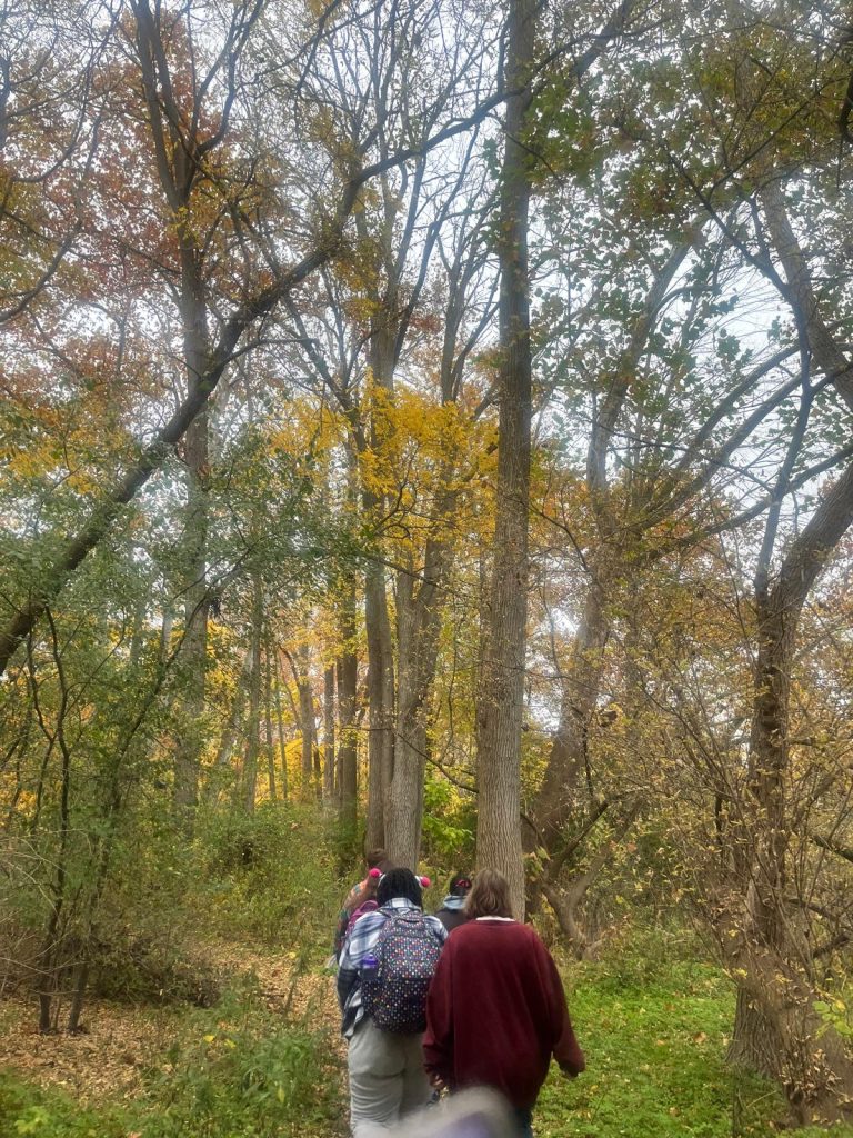 a group of people walking in a forest