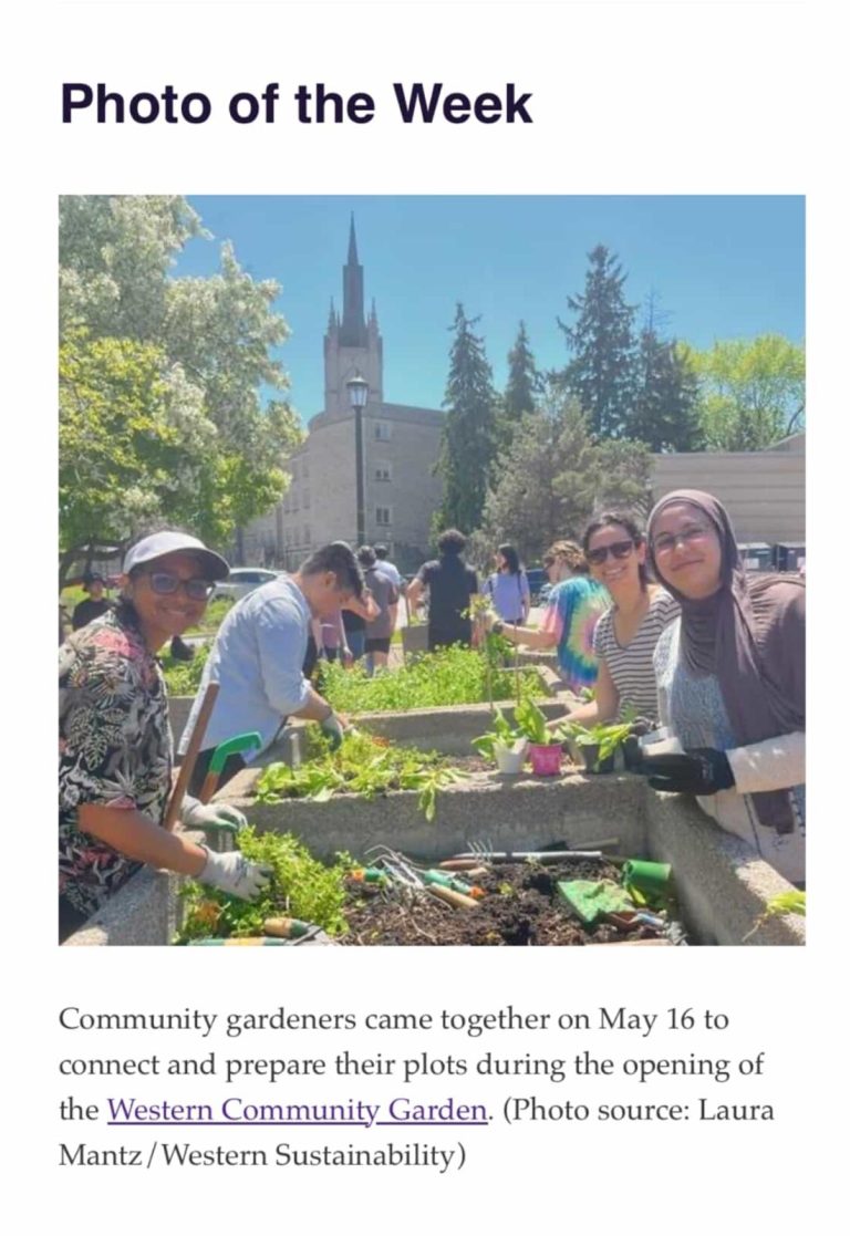 Group of young people planting